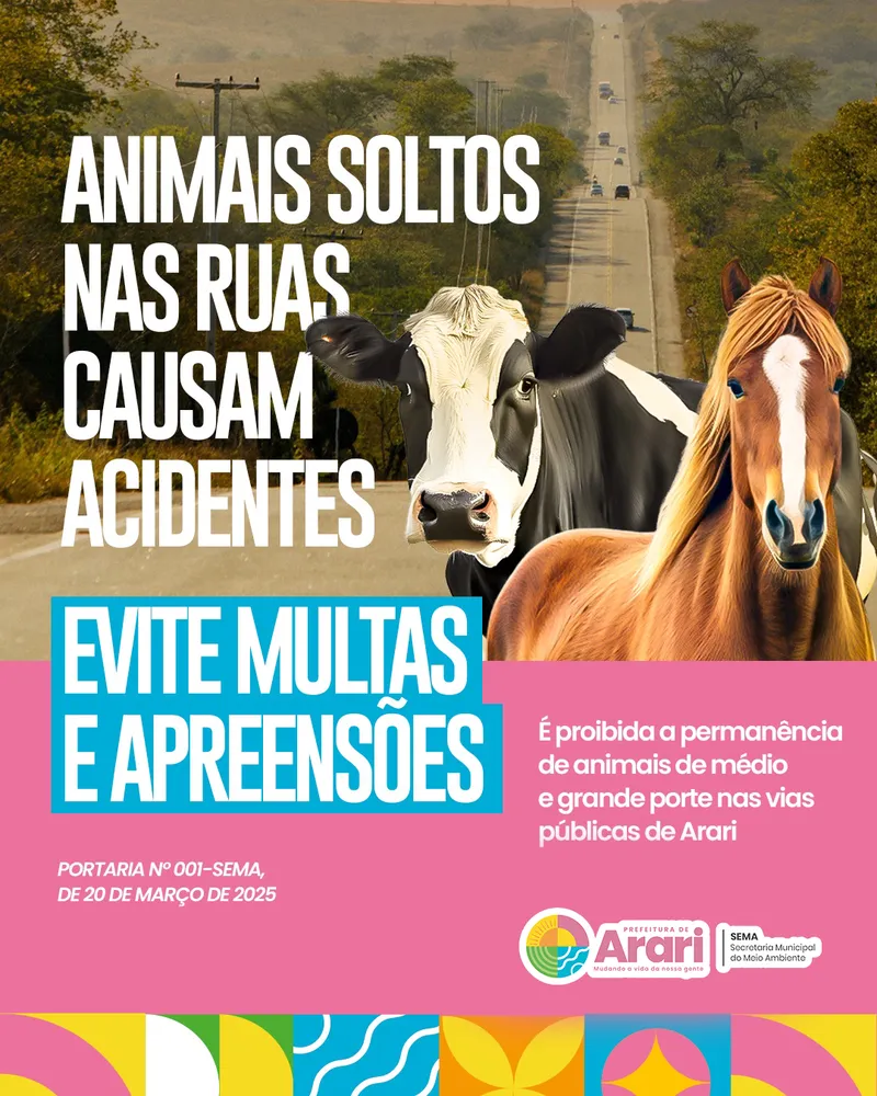Animais soltos nas ruas podem causar acidentes!