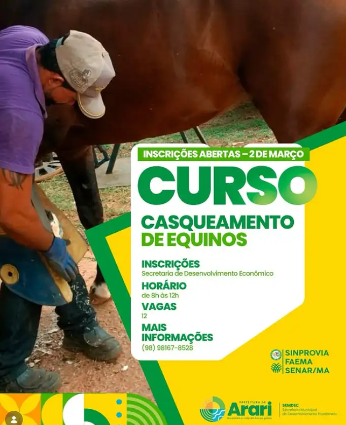 CURSO DE CASQUEAMENTO DE EQUINOS